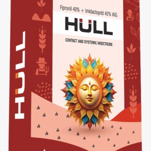 HULL-80