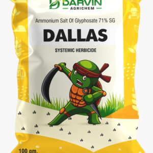 DALLAS