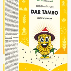 DAR TAMBO